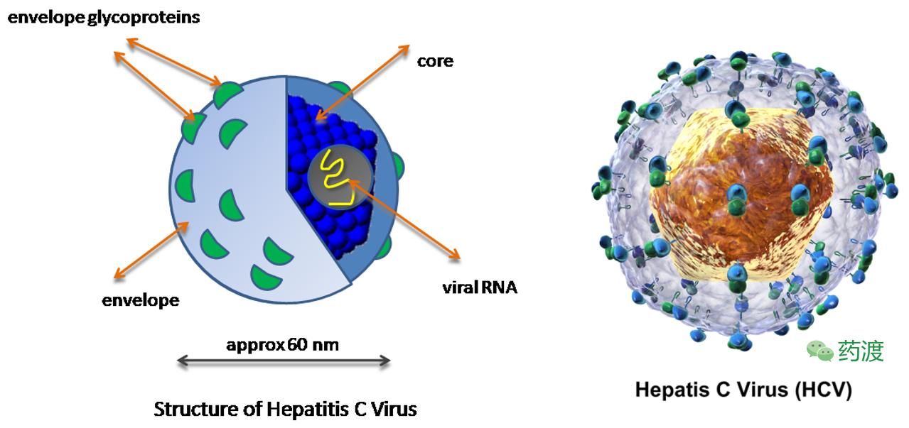 丙肝药索磷布韦价格,治疗丙肝药物索磷布韦在哪里购买