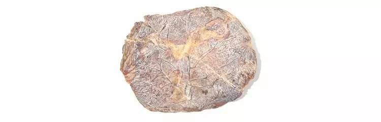 *市黑**倒卖胎盘,吃它太扯淡!一文深扒紫河车