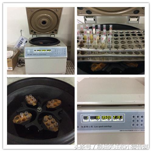 最新白糖进口关税政策,详细介绍白糖进口关税情况详解