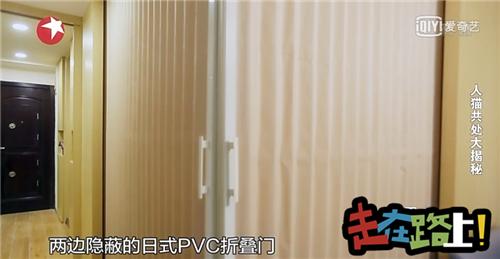 人猫共存空间设计,两只公猫两只母猫的房间怎么设计