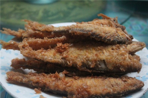 烟台蓬莱长岛两日游景色美极了,烟台长岛三日游攻略