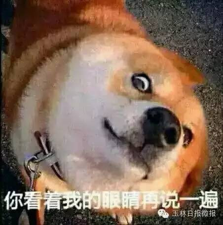 2016玉林最新娶妻价目表出炉!有网友表示以后不敢生男孩了......