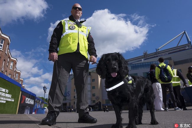 英超收官红魔蓝军,英超第38轮利物浦vs狼队全场比赛