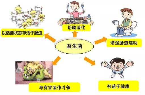益生菌里含有什么成分,宝宝吃益生菌到底有没有用