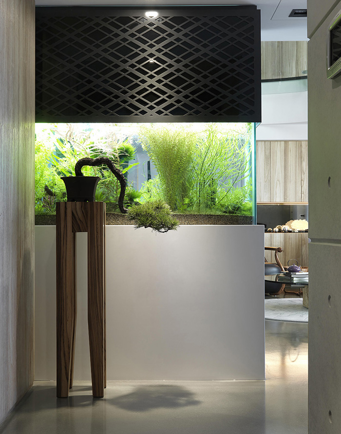 居家鱼缸放哪个位置招财,哪些鱼缸摆放方法会漏财破财