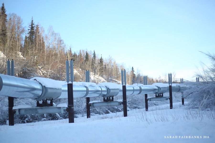 为了这束光，我们一路向北追逐而至...