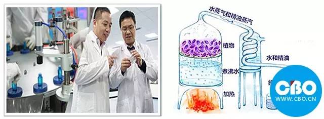 2016补水市场如何再搅局？这个品牌说：靠研发和技术！