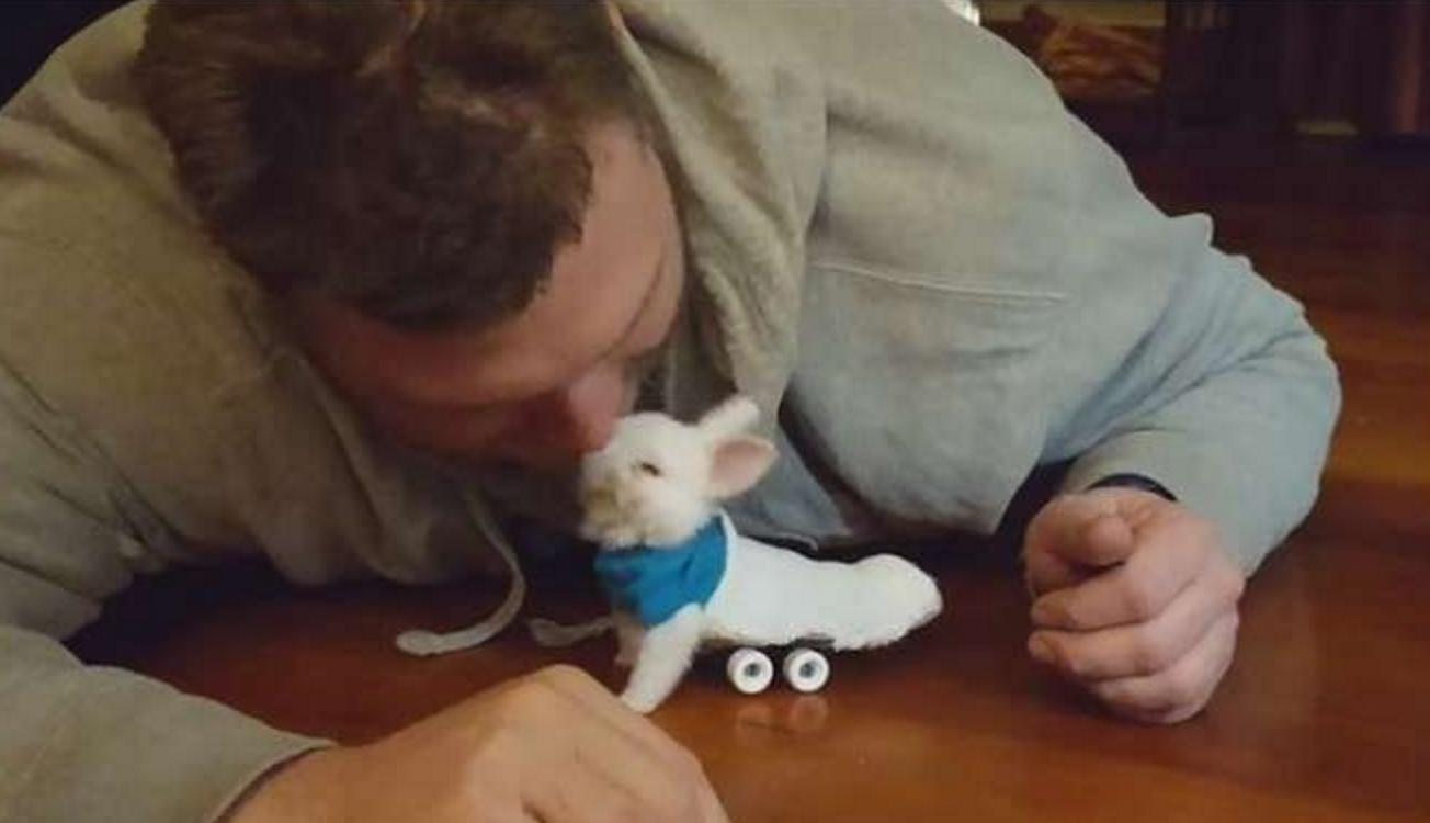 他救了这只小兔子时发现它下身已瘫痪,苦思之下想出一个绝妙方法