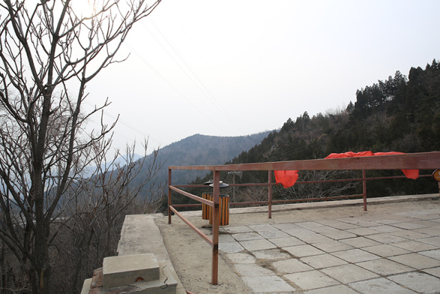 为什么拍出来的照片细节不清新,拍的照片不清楚怎么弄清楚