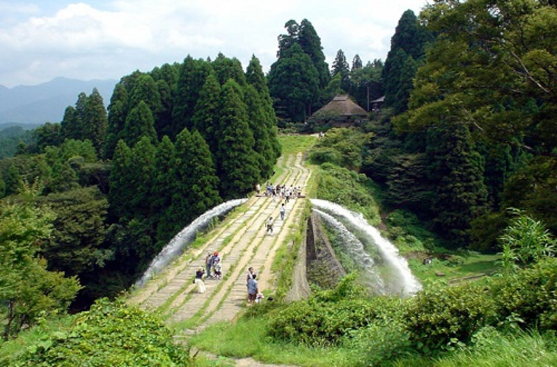 熊本熊熊出没,熊本熊77期