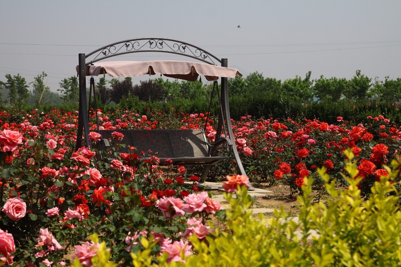 青岛7月旅游优惠,519中国旅游日青岛分会场