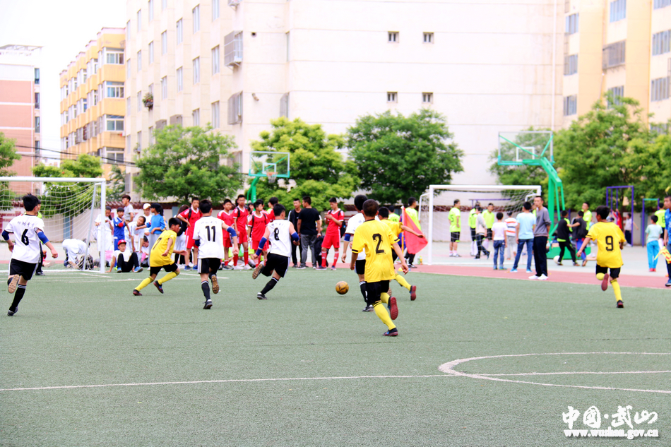 武山县校园足球联赛,武山县青少年足球联赛中学