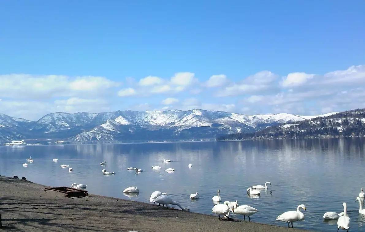 日本100个顶级美景,日本十大绝美城市