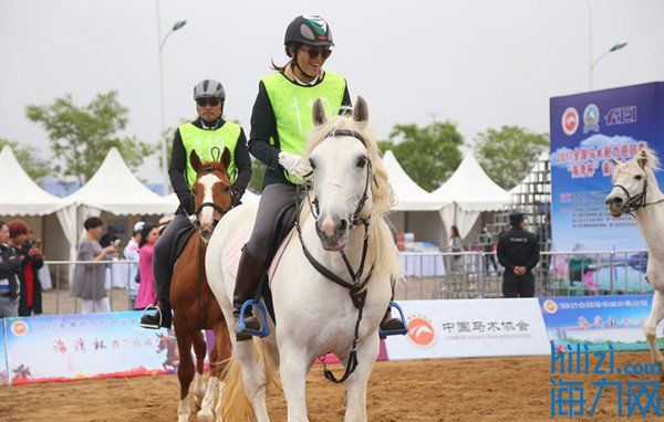2016年中国马术耐力巡回赛,2017年全国马术耐力赛