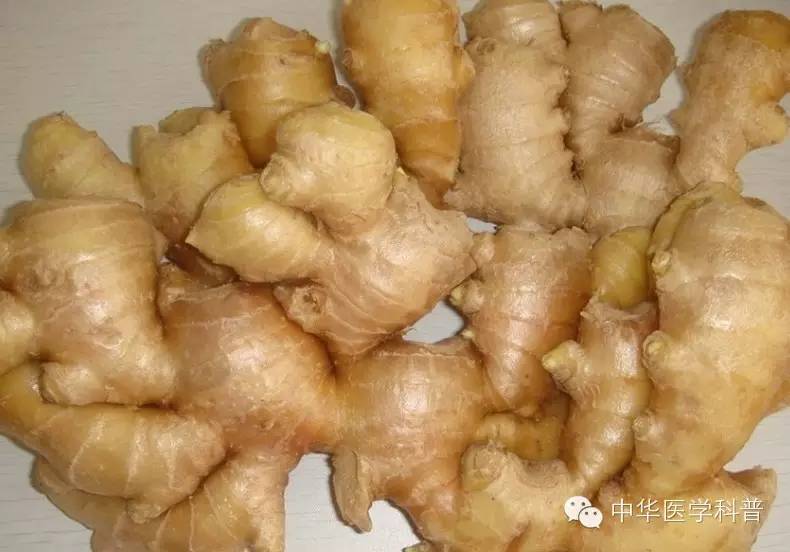 饮食与健康的方法,饮食养生与健康饮食