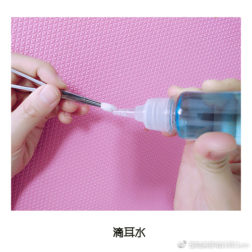 宠物耳道清洁,宠物美容学校30天能学到什么