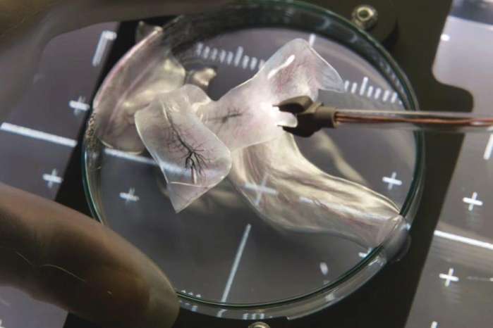 异星觉醒全剧透,异星觉醒下一部应该看哪部