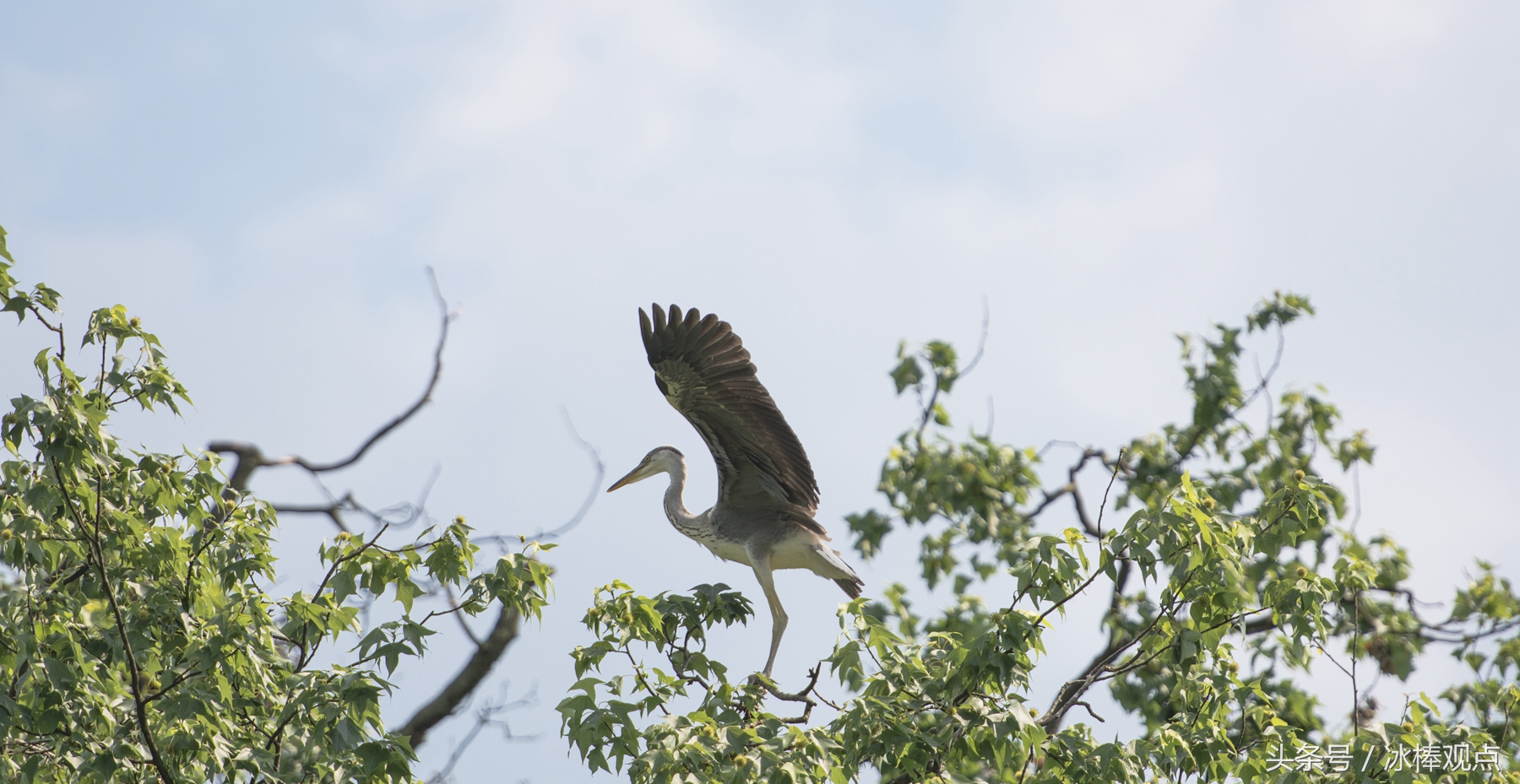 藏在贵州大山深处的惊艳之美,隐藏在贵州大山里的古寨