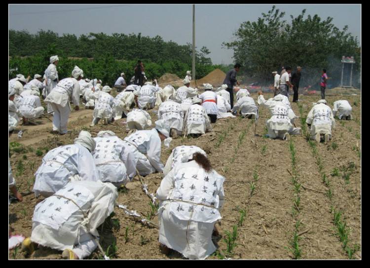 墓碑前的婚礼,521只为等你,文章超长,请用爱的耐心读完