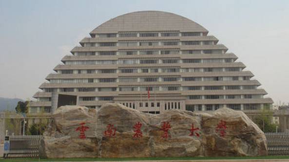 各大高校江湖名号你知道几所,云南各大高校