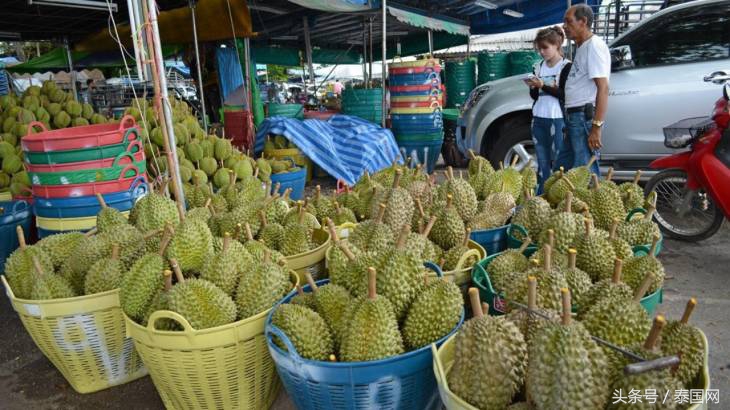 泰国发现榴莲危机,泰国榴莲危机事件