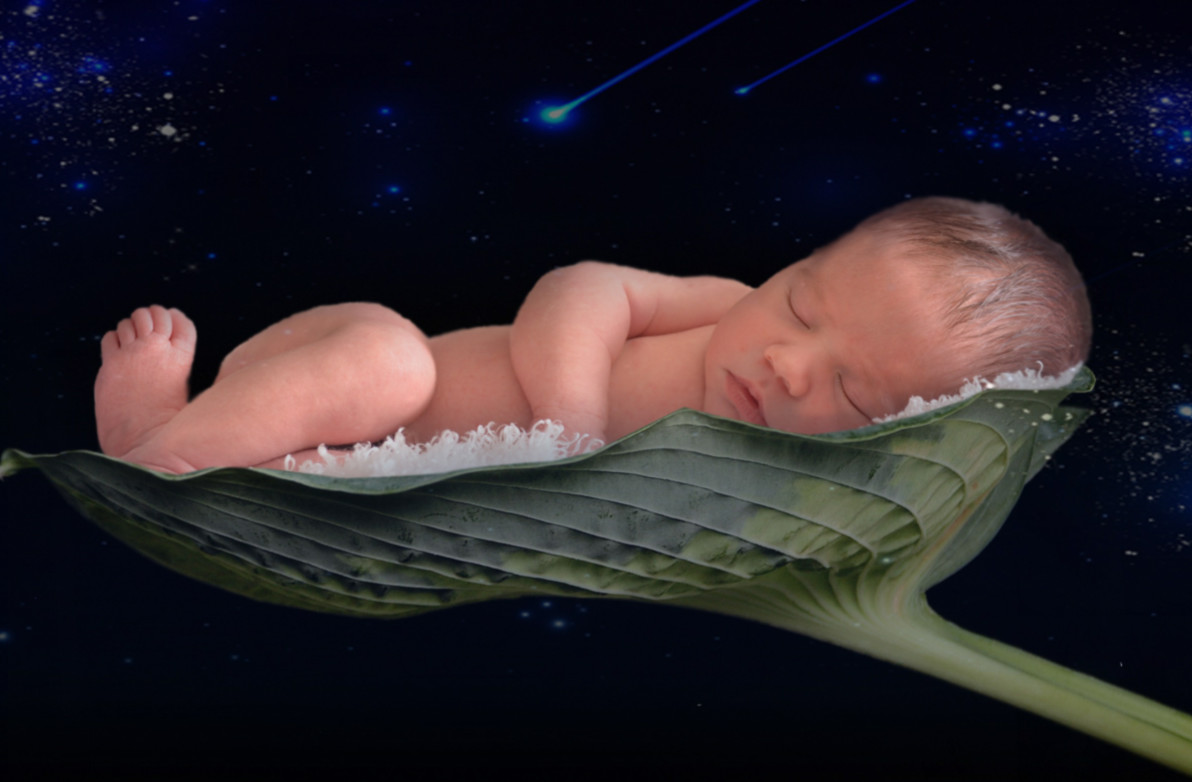 孕妈请注意羊水真的很重要,羊水的主要生理功能