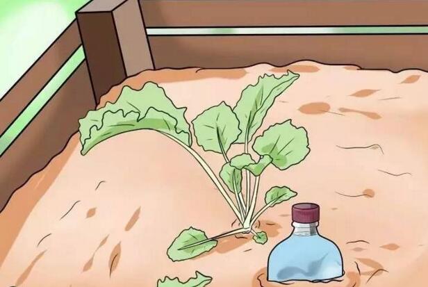 自制万能自动浇花神器,自动浇花神器自制