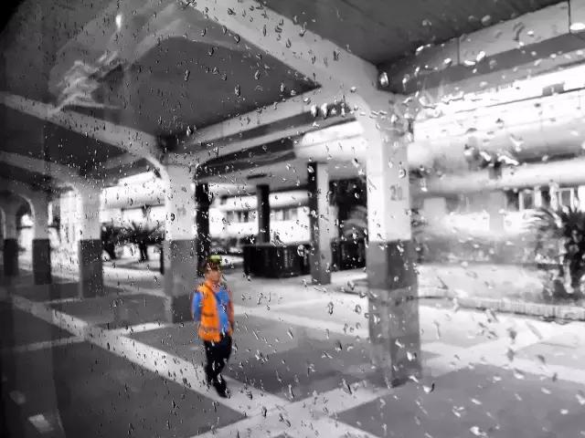 茶旅｜温润如水仙，会是你生活中的日常