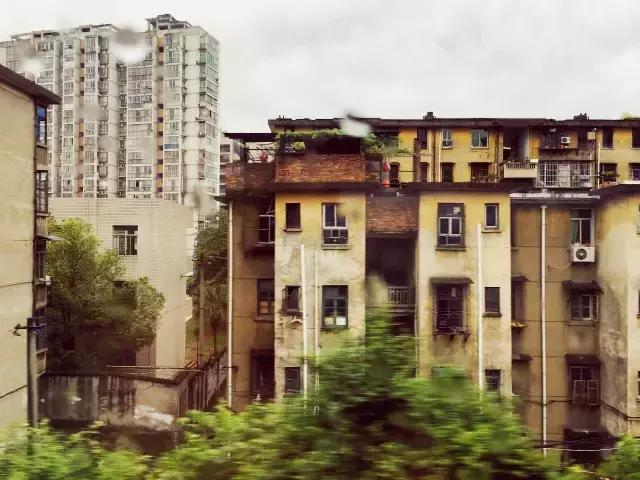 茶旅｜温润如水仙，会是你生活中的日常