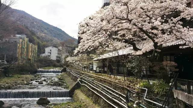 东京超全亲子攻略,东京好玩吗值得去吗