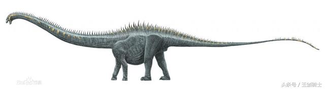 世界上最厉害的动物平头哥,平头哥盘点十大速度最快的动物