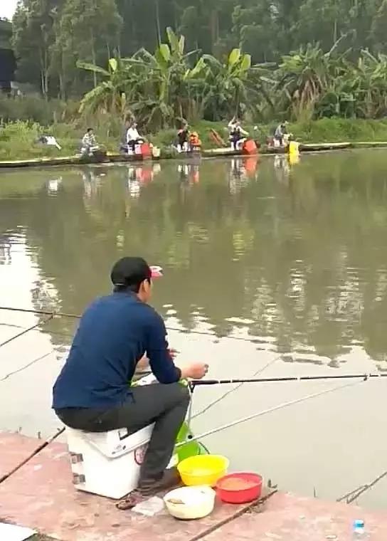 福建南平钓鱼大赛,福建南平郊野钓鱼大赛