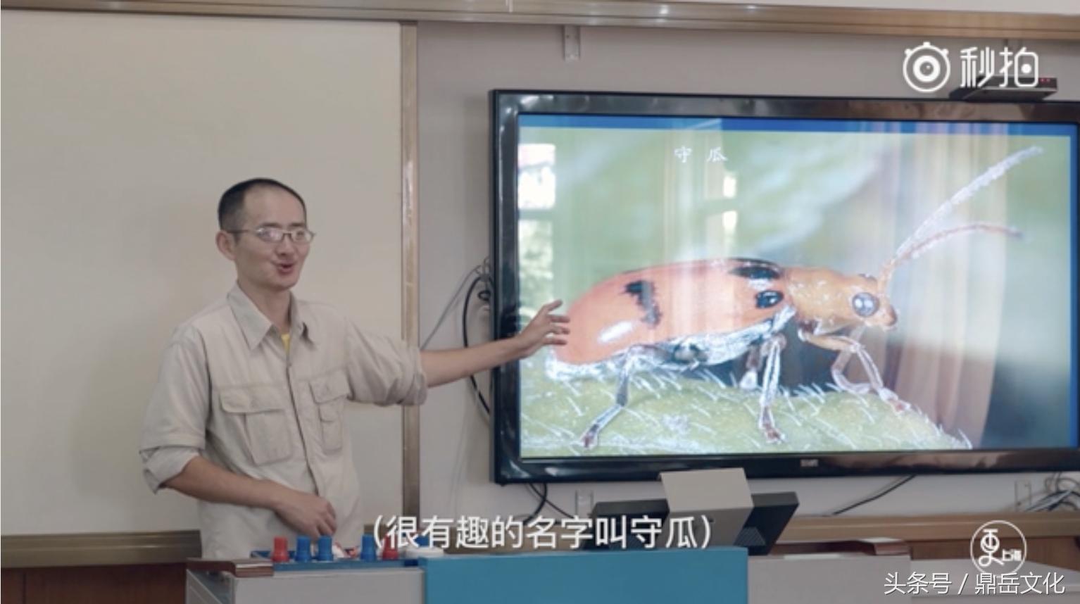 萤火虫团购网,萤火虫团购推荐