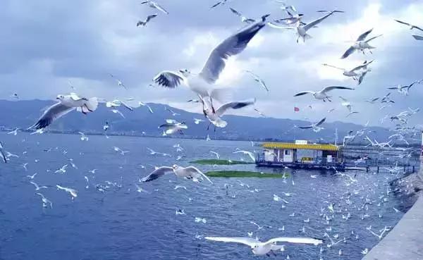 <html>
<head><title>502BadGateway</title></head>
<body>
<center><h1>502BadGateway</h1></center>
<hr><center>nginx</center>
</body>
</html>
<!--apaddingtodisableMSIEandChromefriendlyerrorpage-->
<!--apaddingtodisableMSIEandChromefriendlyerrorpage-->
<!--apaddingtodisableMSIEandChromefriendlyerrorpage-->
<!--apaddingtodisableMSIEandChromefriendlyerrorpage-->
<!--apaddingtodisableMSIEandChromefriendlyerrorpage-->
<!--apaddingtodisableMSIEandChromefriendlyerrorpage-->
