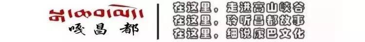 昌都足球队亚军贡嘎杯,我们是冠军世界杯