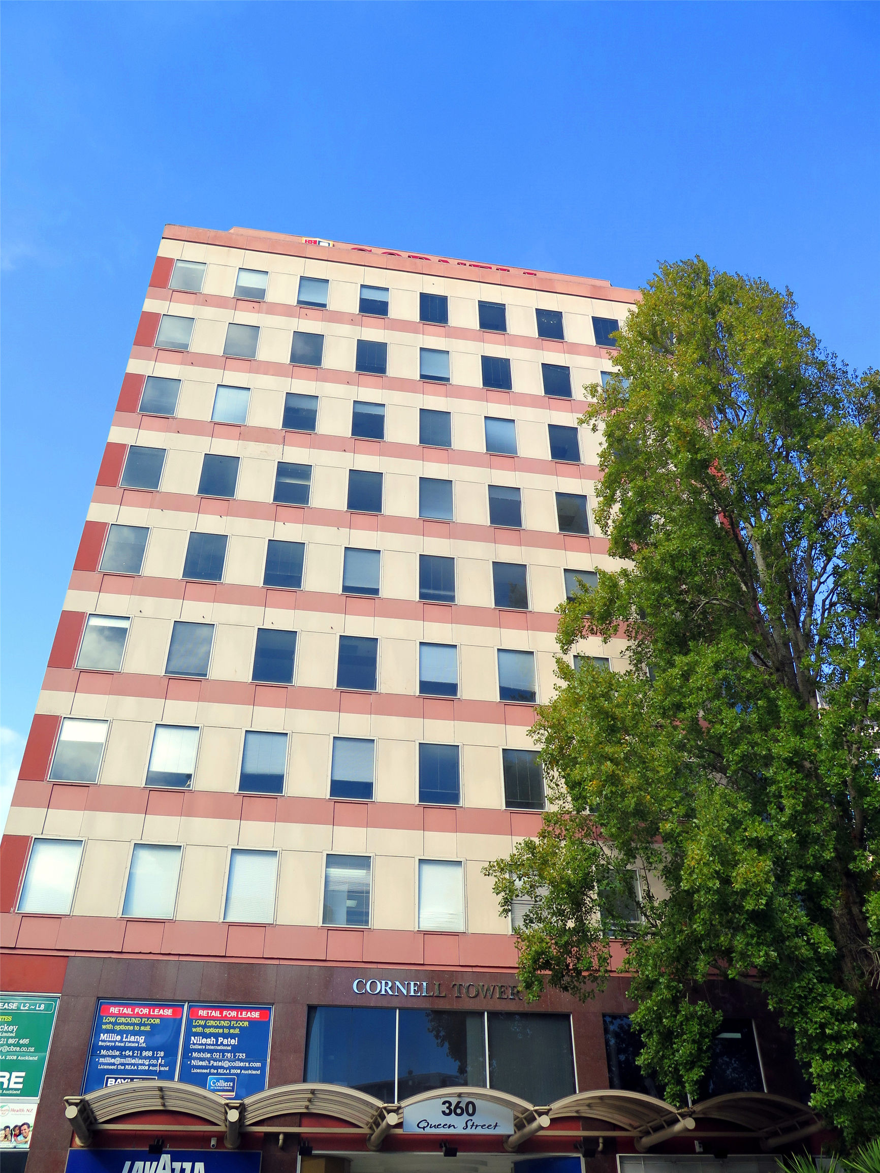 绵羊新西兰购物攻略,新西兰攻略买东西怎么买