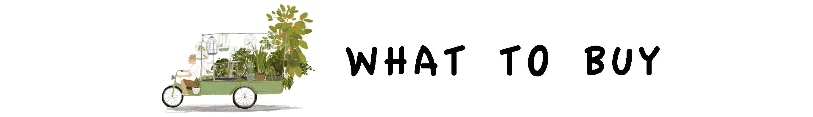 5月*服私**｜你真的需要买这么多鞋吗？嗯，真！需！要！