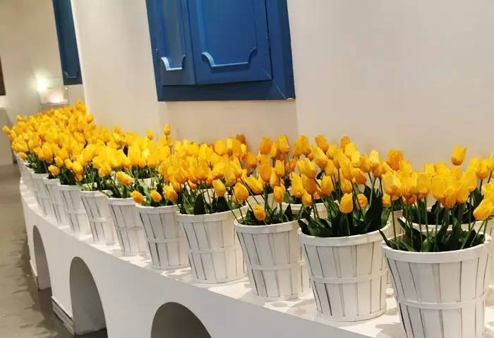 51假期带孩子去迪士尼乐园玩,比迪士尼更好玩的地方是哪里