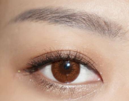 眼影种草玛丽黛佳,平价新手百搭眼影