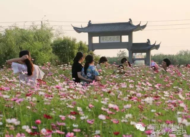 你好!我叫沭阳,这是我的简历,请多多指教!