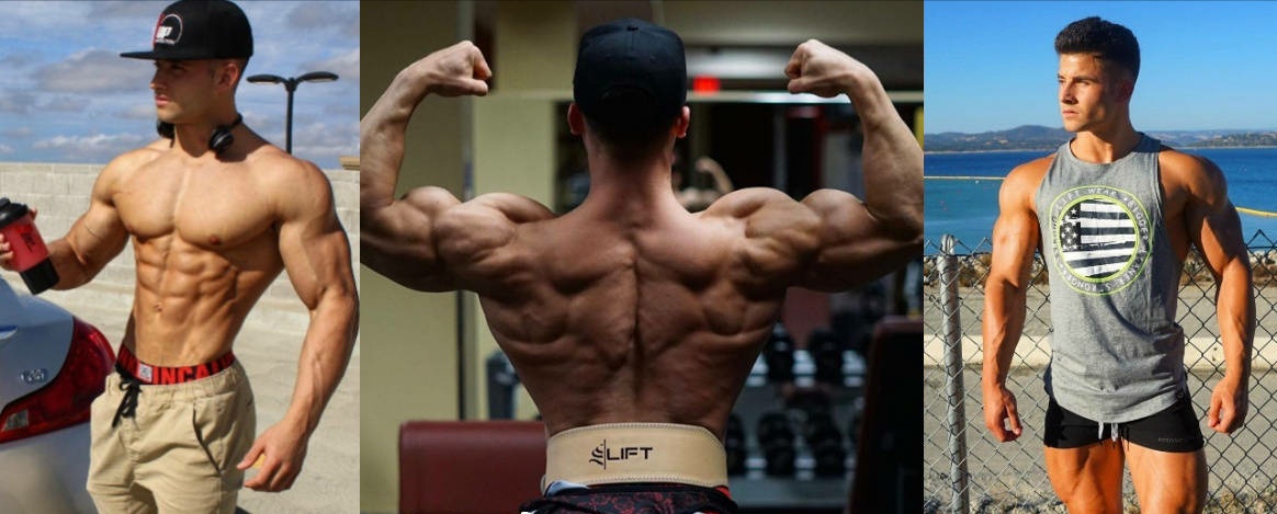 一个完整的背部训练计划干货,背部增肌训练需要几个动作