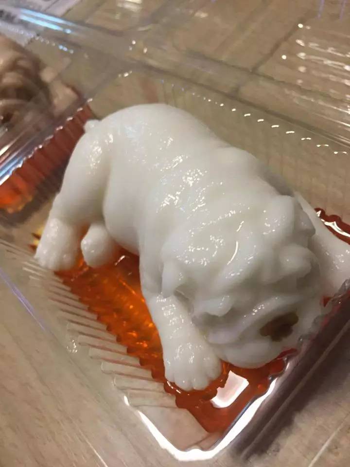 果冻沙皮狗,沙皮狗果冻