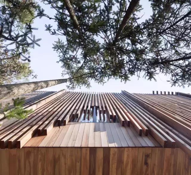 他们把3栋绝美树屋藏进了世外桃源里，用设计让你回归自然