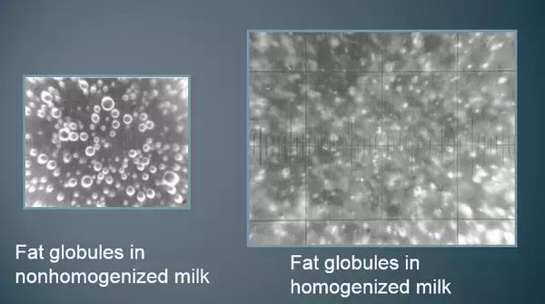 超市里买的纯牛奶是否可靠,怎样辨别伊利纯牛奶纯不纯