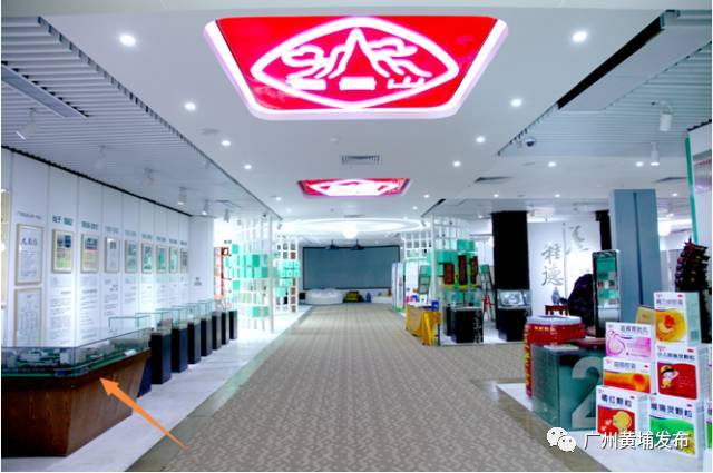 比同仁堂还长七岁!走进白云山中一展厅,探秘岭南中药“活化石”