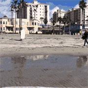 侏儒男和高个子女朋友的视频,侏儒娶高个老婆