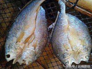 念佛诵经的专用佛珠,念佛送的礼物