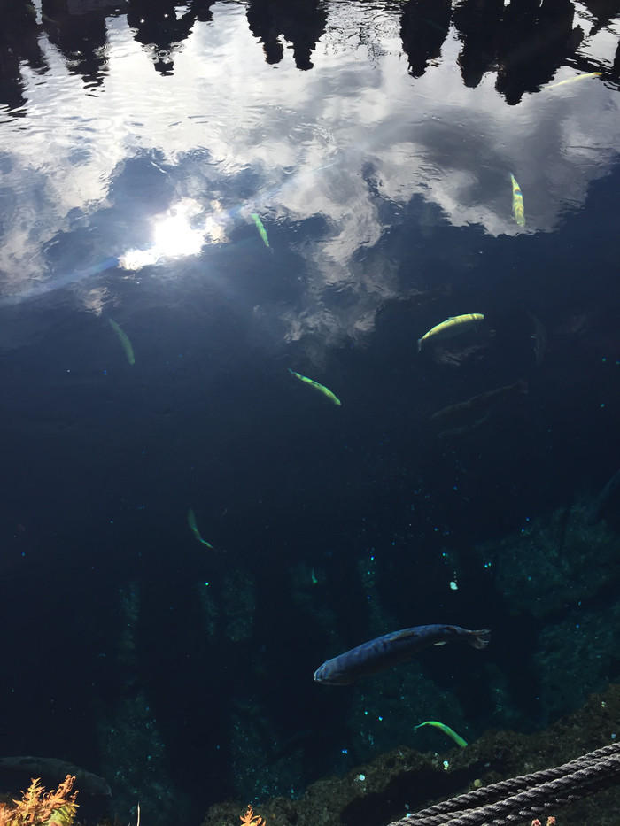 日本的冬天依旧色彩绚烂,冬季日本的冰雪阳光