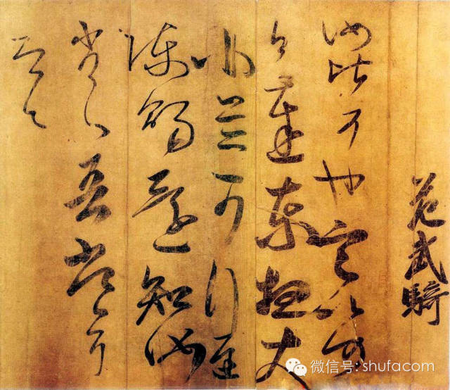 王氏家族10字谱,王氏24字谱