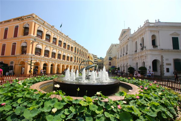 小城慢生活澳门,澳门独特之美的慢生活